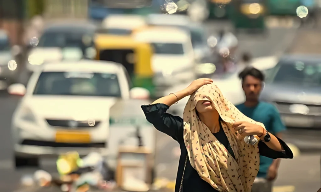 The Harmonious Path of an Artist: A Singer-Actor’s Perspective